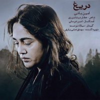 آهنگ امین بانی دریغ