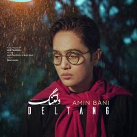 آهنگ امین بانی دلتنگ