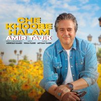 Amir Tajik Cheh Khevebeh Halem