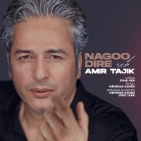 Amir Tajik Negev Direh